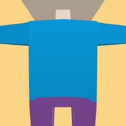 new costume