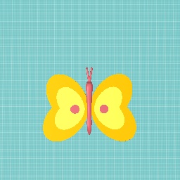 Butterfly Cute