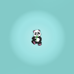 Cute panda