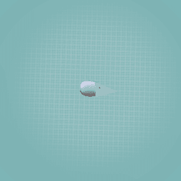 fisheeeeeeeeeeeeeeeeeee