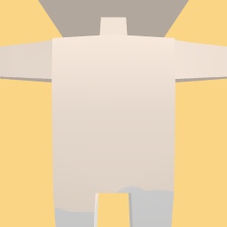 new costume