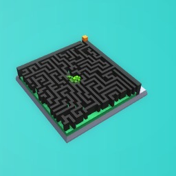 Maze