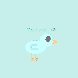 Tommy the bird <3