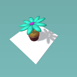 flower pot