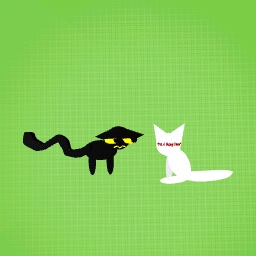 Cat Collab