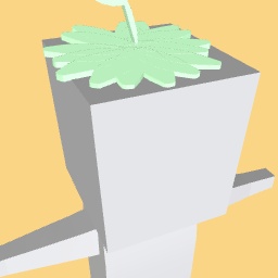 Strawberry top (free)