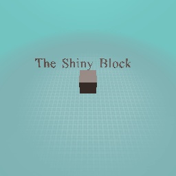 The Shiny Block
