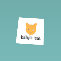 balqis cat