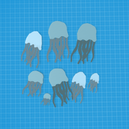 Jellyfish