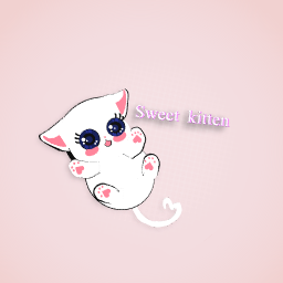 Sweet kitten