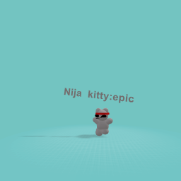 Nija kitty