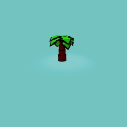 Palm Tree