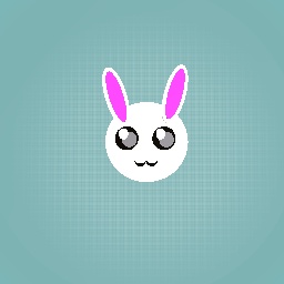 bunny