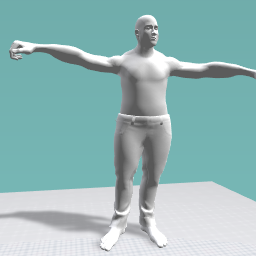 Ya'll mind if I hit that T-pose?