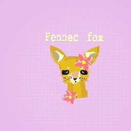 Fennec fox!