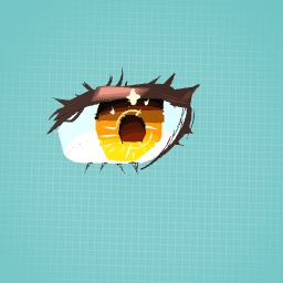 The eyes i made
