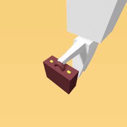 Suitcase