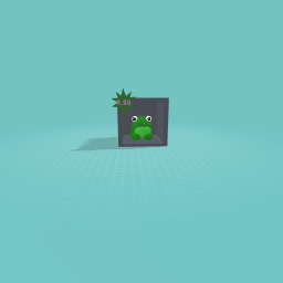 Frog toy!