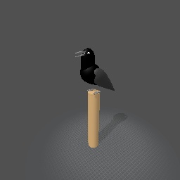 Canoee The Corvus