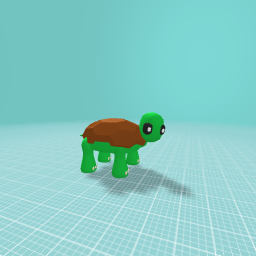 Turtle