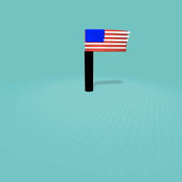 USA FLAG