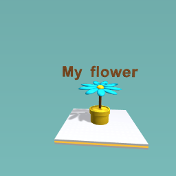 The roblox character