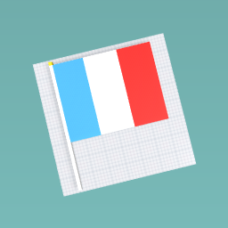 France Flag