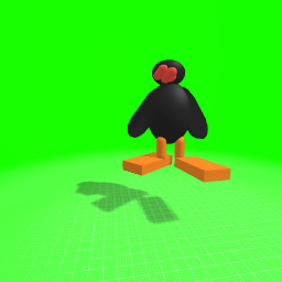 pingu