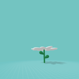 Cute flower