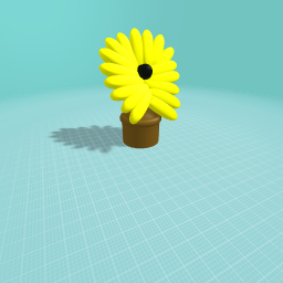 A Flower With Too Many Petals