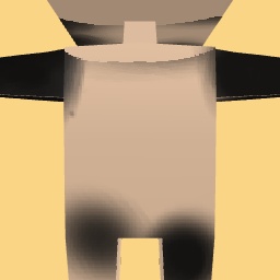 new costume