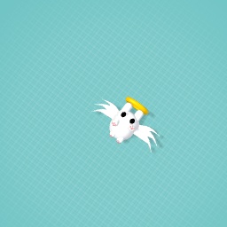 Bunny!