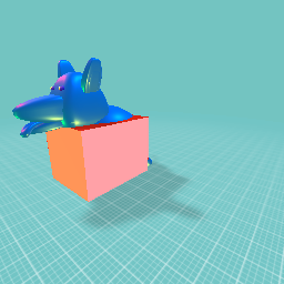 B72 dog in a box