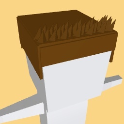 Char hair