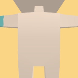 new costume