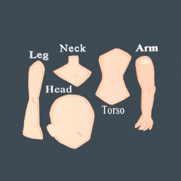 Body parts if needed :>