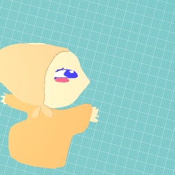 A rain coat