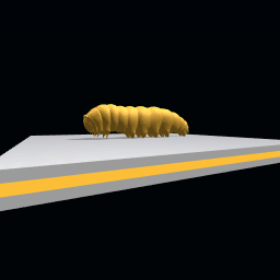 Gold catterpillar