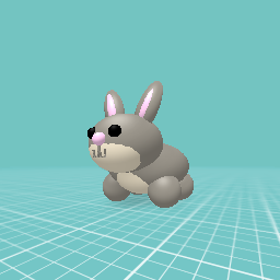 grey bunny