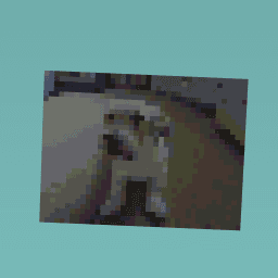 doggy