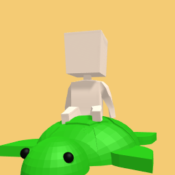 Sitting on turtle