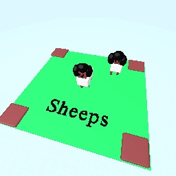 Sheeps Noura