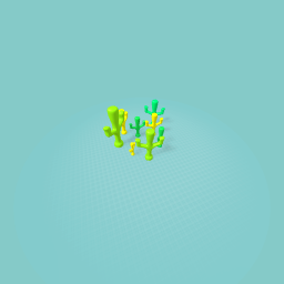 Desert of cactus