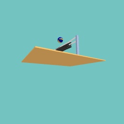 Volleyball court