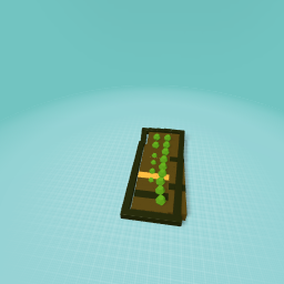 Its vegetable garden