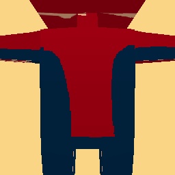 new costume