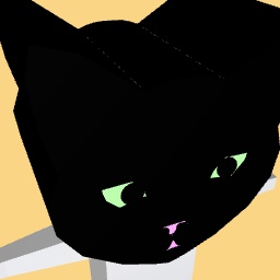 Cat head