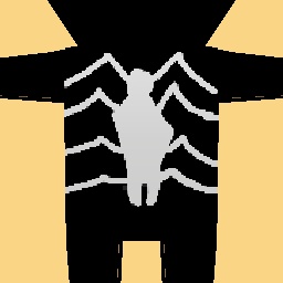 new costume