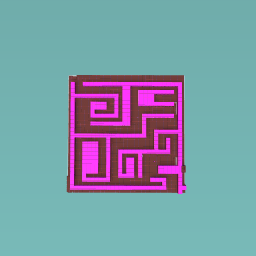 the imposiable maze!!!!!!!!!