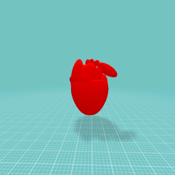 Human heart